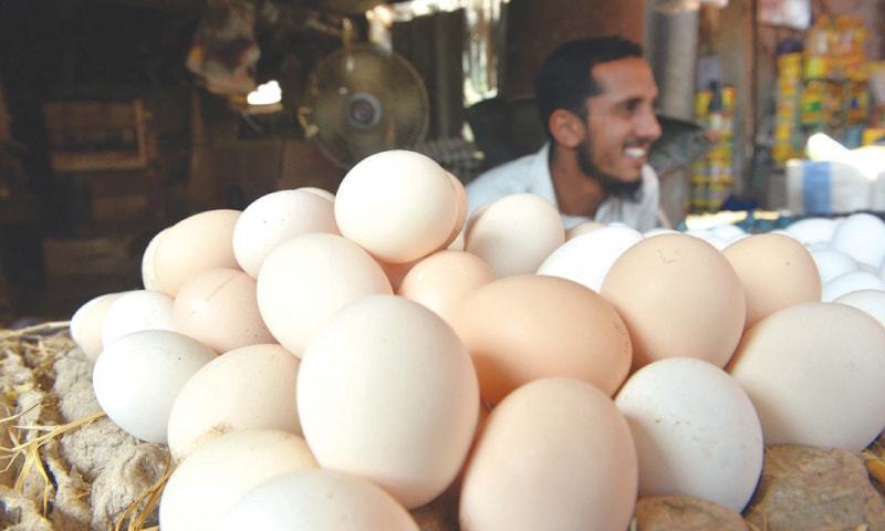 Quality control inspection of eggs on a sorting line